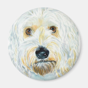 Witte Labrdoodle Maggie Magnet Magneet