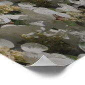 Witte Lacecap Hydrangea Bloemspiegel Abstract Poster (Hoek)