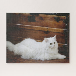 Witte Langharige Kat Legpuzzel
