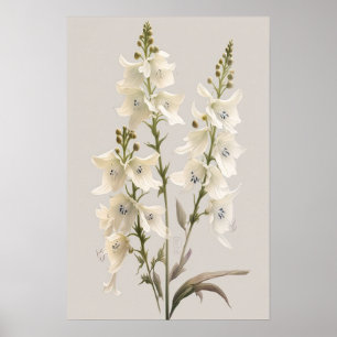 Witte Larkspur Bloemenkunst Print Poster