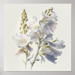 Witte Larkspur Bloemenkunst Print Poster