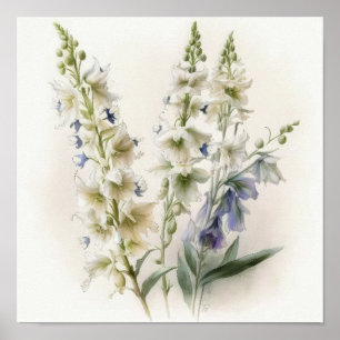 Witte Larkspur Bloemenkunst Print Poster