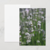 witte lavendel notitiekaartje (Voorkant / Achterkant)