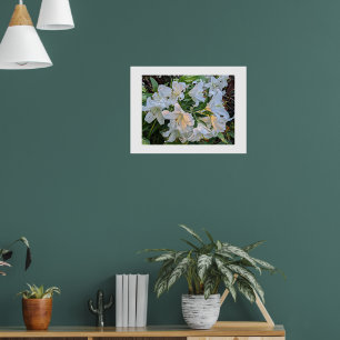 Witte lelie bloeit bloemfotoposter poster