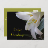 witte lelie bloem Pasen groeten Feestdagenkaart (Voorkant / Achterkant)