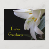 witte lelie bloem Pasen groeten Feestdagenkaart (Voorkant)