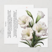 WITTE LELIE BRIEFKAART (Voorkant / Achterkant)