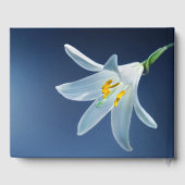 Witte lelie in liefdevolle herinnering | Begrafeni Gastenboek (Achterkant)