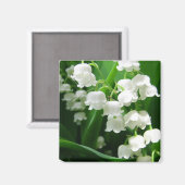 Witte Lelie van de Vallei Magnet Magneet (Voorkant / Achterkant)