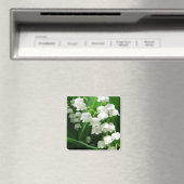 Witte Lelie van de Vallei Magnet Magneet (Insitu (Vaatwasser))