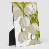 Witte lelies fotoplaat (Zijkant)