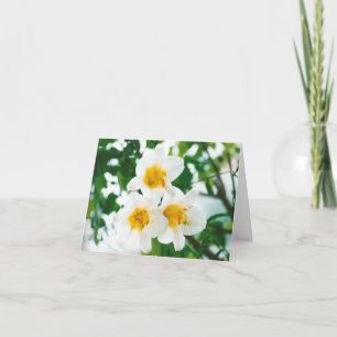 Witte lelies op boerenstijl - Lilium candidum Kaart