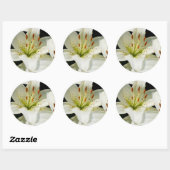 Witte Lelies Stickers (Vel)