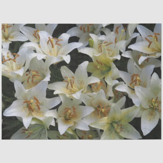Witte lelies tissuepapier (Voorkant)