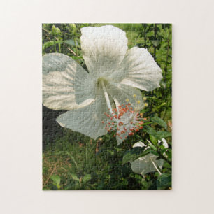 witte lente, bloem, bloem, zomer, natuur, legpuzzel