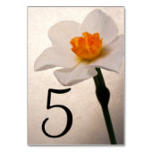 Witte Lente Daffodil Bloem Tafel Nummers Kaart (Voorkant)