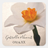 Witte lente daffodil bruiloft envelop afdichtingen vierkante sticker (Voorkant)