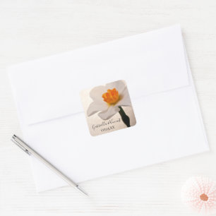 Witte lente daffodil bruiloft envelop afdichtingen vierkante sticker