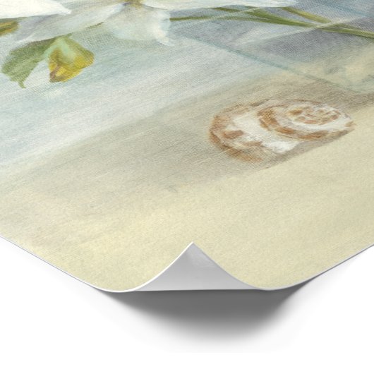 Witte lenzen en schelpen poster (Hoek)