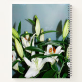 Witte leugens notitieboek (Achterkant)