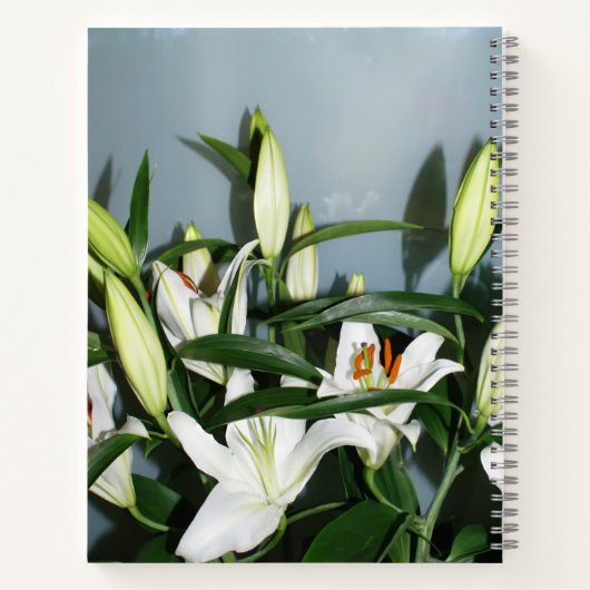 Witte leugens notitieboek (Achterkant)