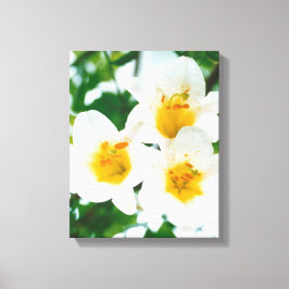 Witte leugens - symbool van de liefde canvas afdruk