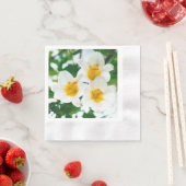 Witte lib - Lilium candidum Servet (Insitu)