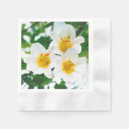 Witte lib - Lilium candidum Servet