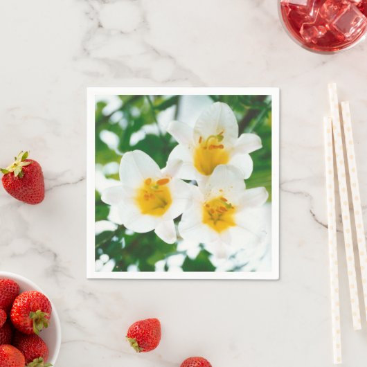 Witte lib - Lilium candidum Servet (Insitu)