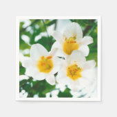 Witte lib - Lilium candidum Servet (Voorkant)