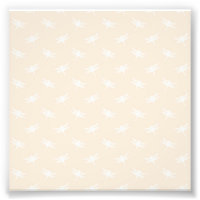 Witte Libel Odonata Vliegend Insect Pastel
