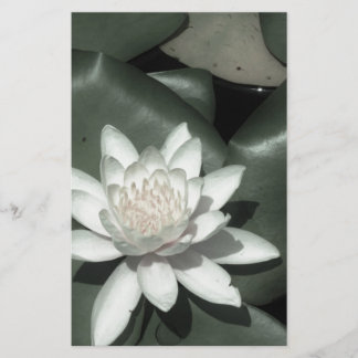 witte lichtroze lotus waterbloem briefpapier