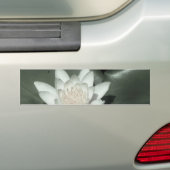 witte lichtroze lotus waterbloem bumpersticker (Op auto)
