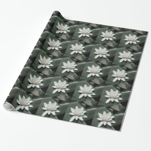witte lichtroze lotus waterbloem cadeaupapier (Uitgerold)
