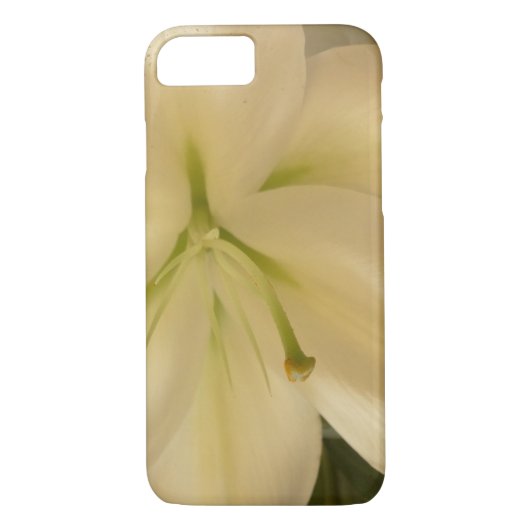 Witte Lillum Bloem Apple iPhone 7, nauwelijks daar Case-Mate iPhone Case (Achterkant)