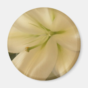 Witte Lillum Bloem Foto ronde magneet