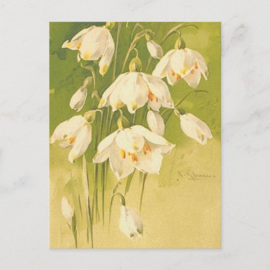 -witte Lily van de vallei Briefkaart (Voorkant)