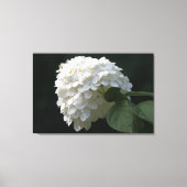 Witte Limoen Hydrangea Bloemdoek Print (Voorkant)