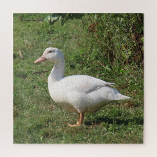 witte linzen, eenden in de wei, gezonde eetlust legpuzzel