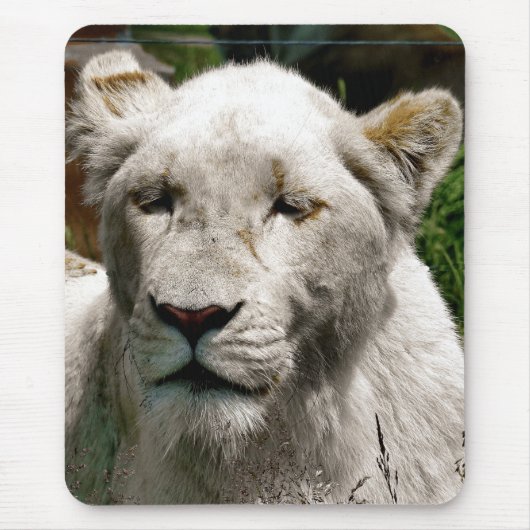 WITTE LIONS MUISMAT (Voorkant)