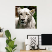 WITTE LIONS POSTER (Thuiskantoor)