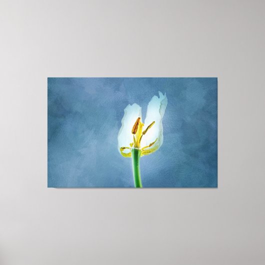Witte lippenbloem canvas afdruk (Voorkant)