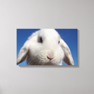 Witte Lop Canvas Afdruk
