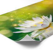 Witte Lotus Bloem Landschap, Zen Poster (Hoek)