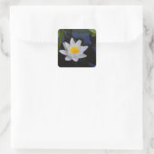 Witte Lotus Bloem Stickers (Tas)
