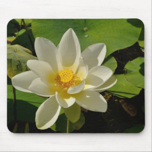 Witte Lotus bloemen in een vijver Muismat