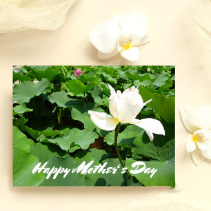Witte Lotus Flower Briefkaart