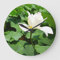 Witte Lotus Flower
