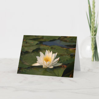 Witte Lotus Flower Kaart