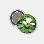 Witte Lotus Flower Magneet (Voorkant / Achterkant)